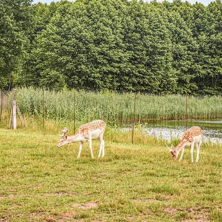 Casa de Férias 6 Bedroom Beautiful In