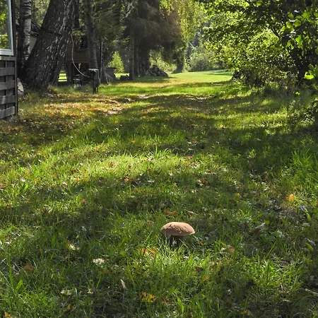 6 Bedroom Beautiful In