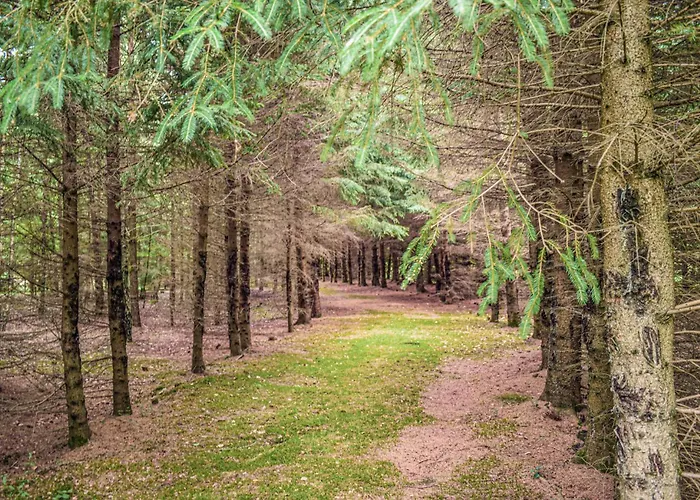 Сasa de vacaciones 6 Bedroom Beautiful In Sianow